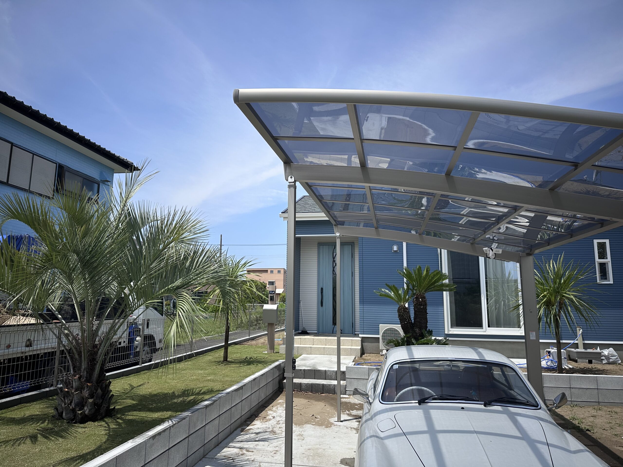 ソテツ 蘇鉄 ーー ココス ヤシ アガベ ドラセナ ―ー ソテツ 約1m10cm - ヤシの木 ソテツ ドラセナ販売 芝生の